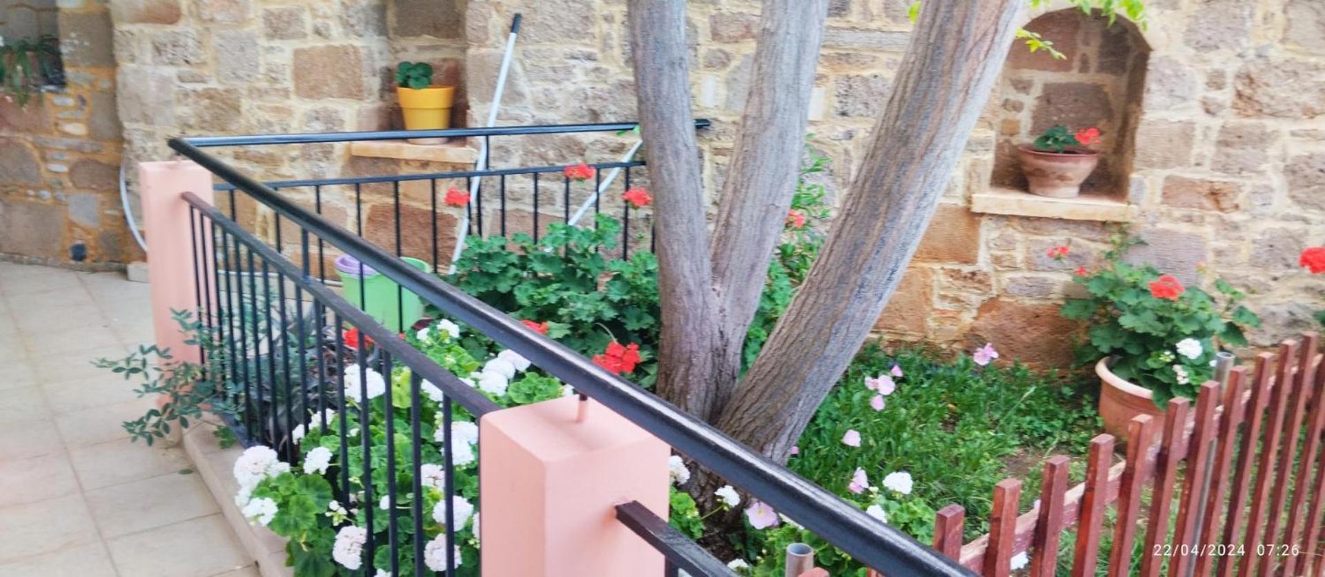 Riza Falasarna Apartments Εξωτερικό φωτογραφία